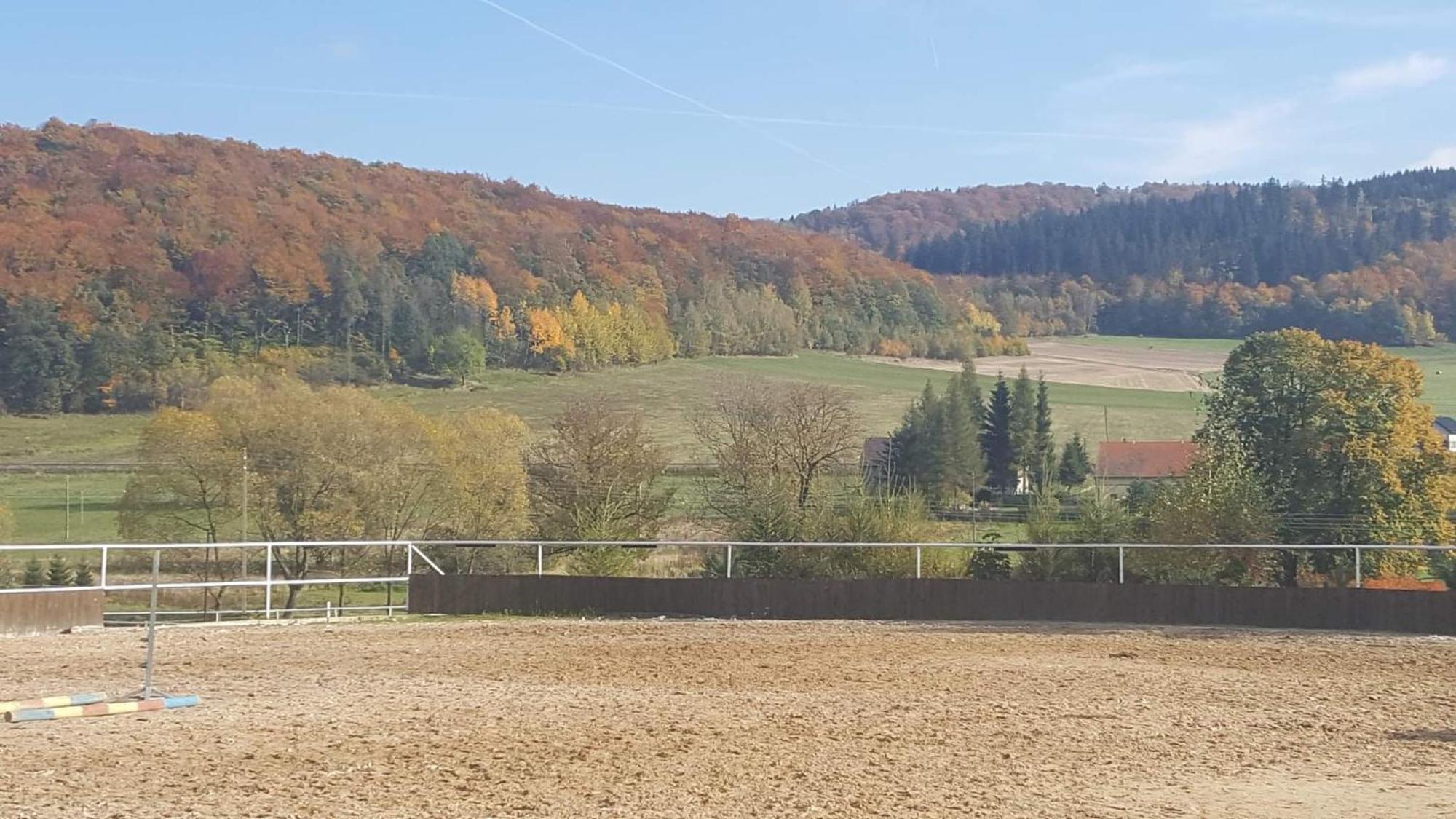 Agroturystyka Agro-Podkowka Marciszow المظهر الخارجي الصورة